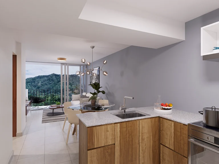 APTO_C_COCINA_HIRES